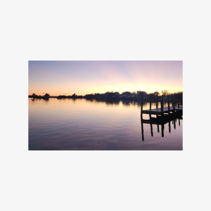 Private Crystal River Wildlife Boat Tour