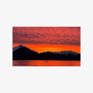 Sitka's Ultimate Wildlife Boat Tour