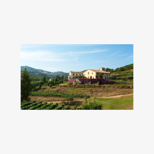 Boat tour to the vineyards with wine tasting from Barcelona, Couple